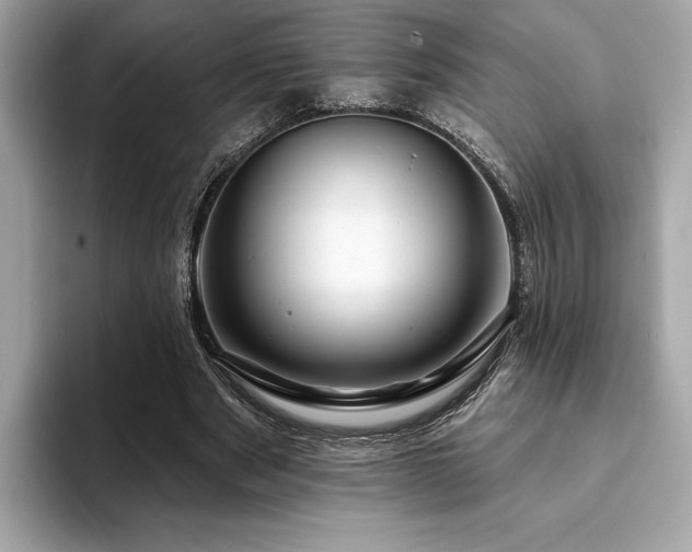X0000093740489200710161141