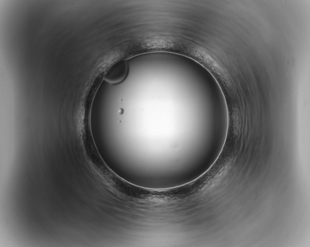 X0000093740490200710161141