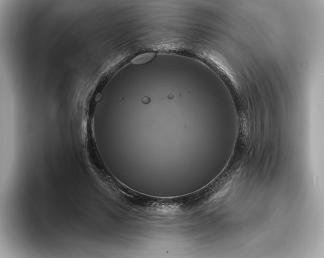 X0000093740491200710161141