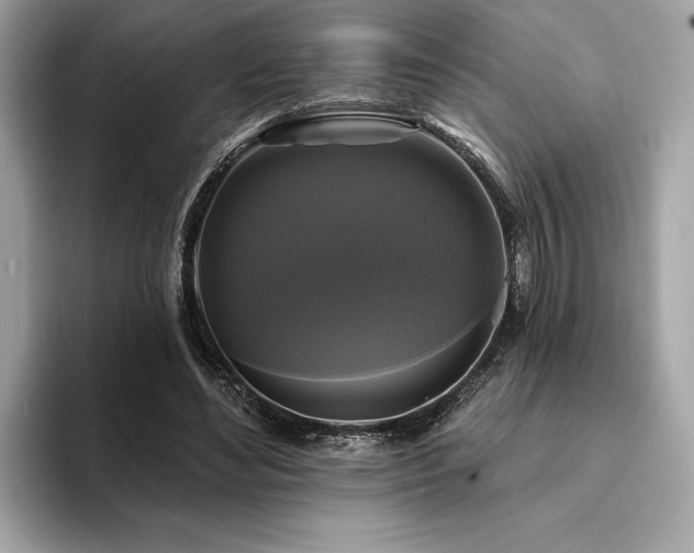 X0000093740492200710161141