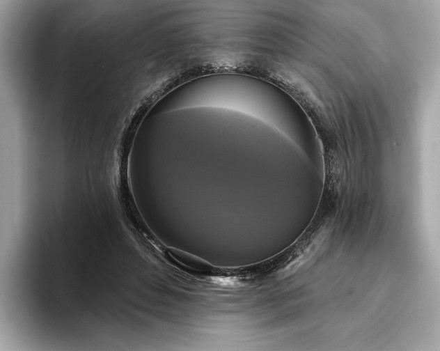 X0000093740496200710161141