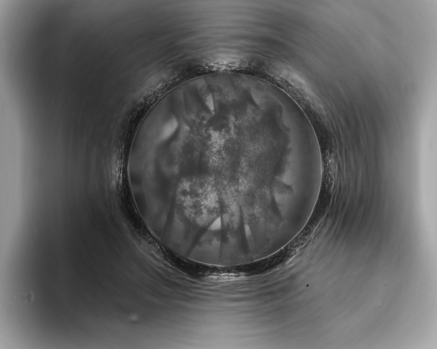 X0000093740499200710161141
