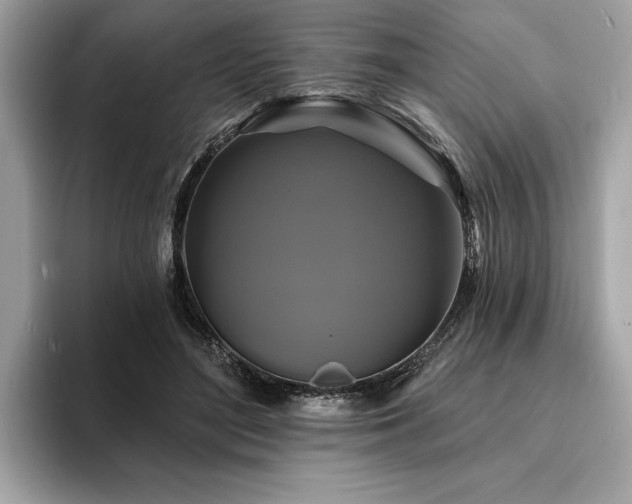 X0000093740500200710161141