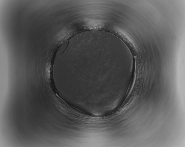 X0000093740501200710161141