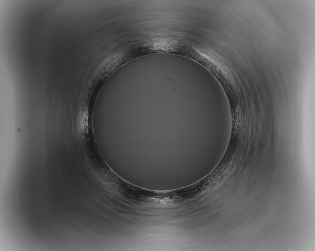 X0000093740502200710161141