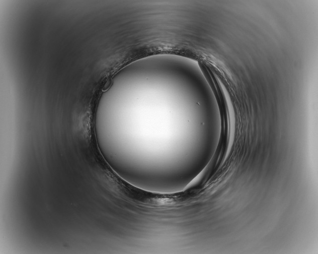 X0000093740509200710161141