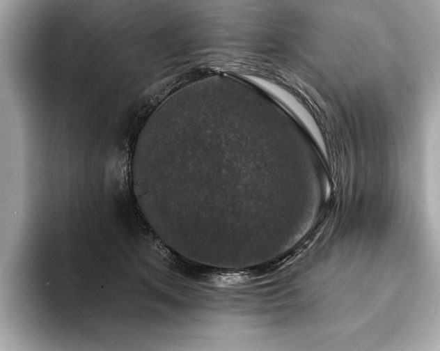 X0000093740513200710161141