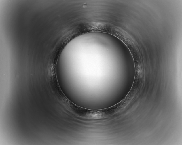X0000093740514200710161141