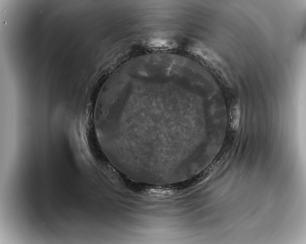 X0000093740515200710161141