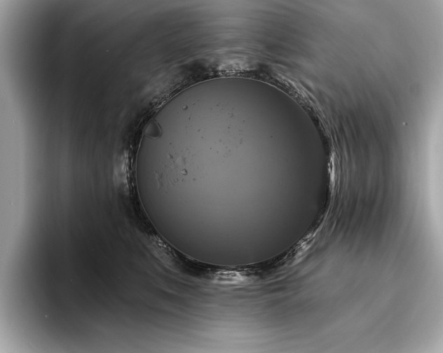 X0000093740519200710161141