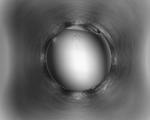 X0000093740521200710161141
