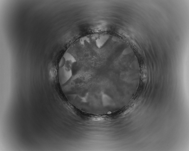 X0000093740523200710161141