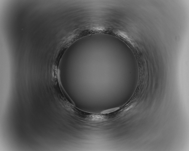 X0000093740528200710161141