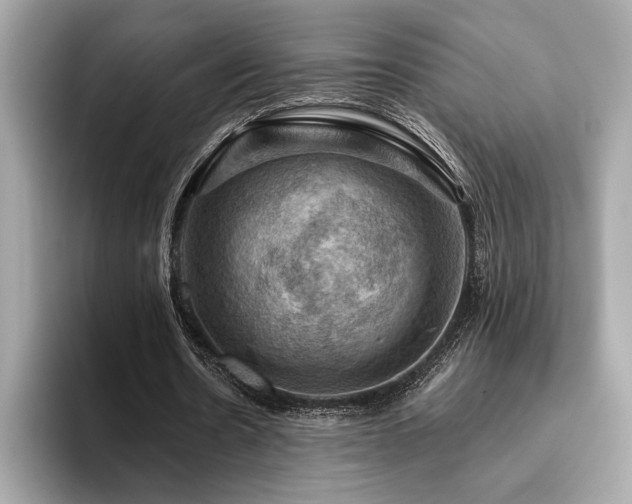 X0000093740530200710161140