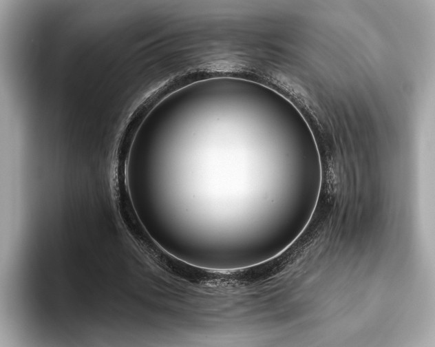 X0000093740535200710161140