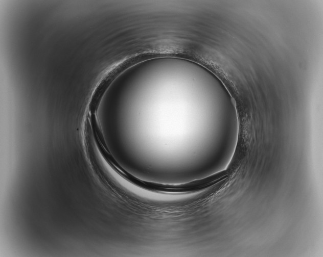 X0000093740536200710161140