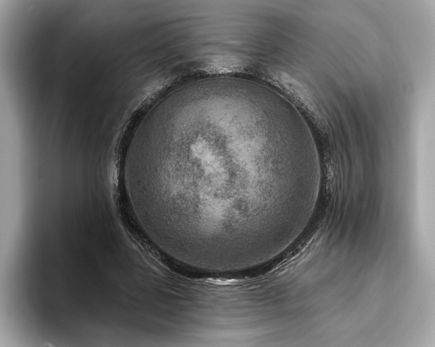X0000093740539200710161140