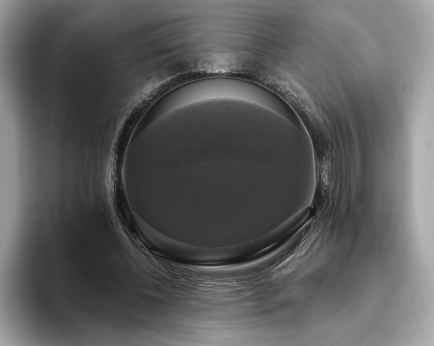 X0000093740540200710161140