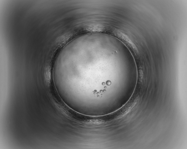 X0000093740541200710161140