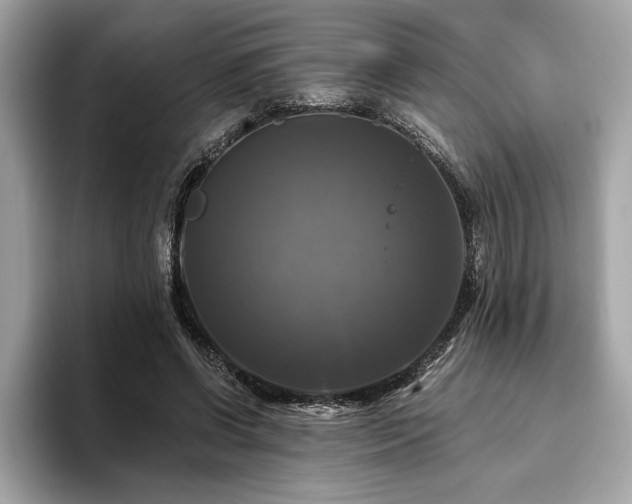 X0000093740542200710161141