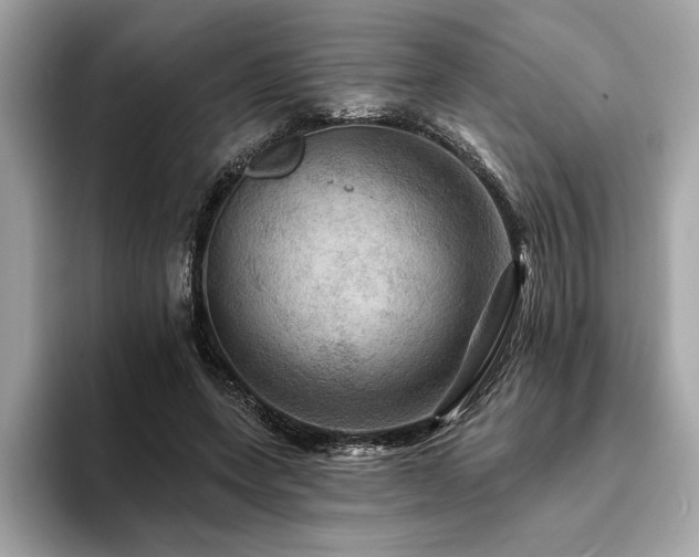 X0000093740543200710161141