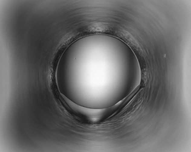 X0000093740544200710161141