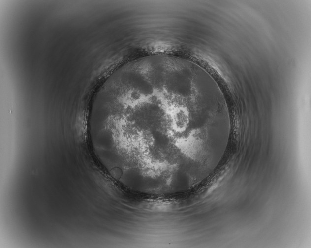X0000093740545200710161141