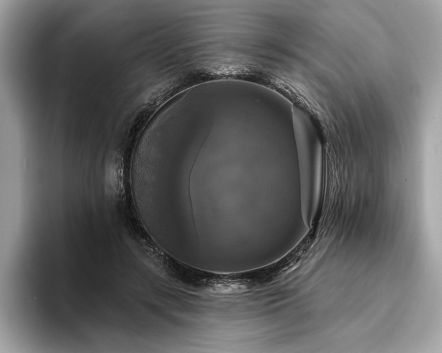 X0000093740547200710161141