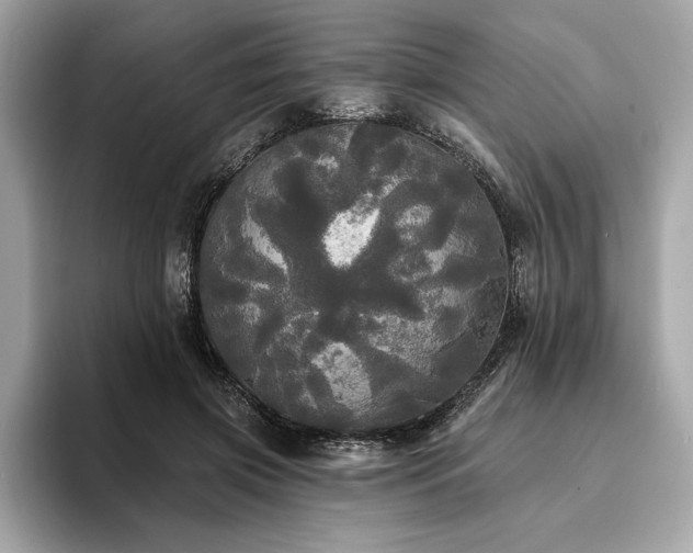X0000093740549200710161141