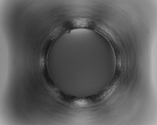 X0000093740551200710161141