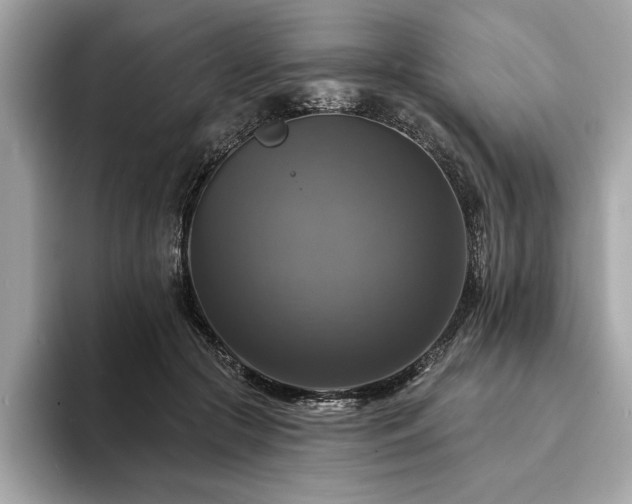 X0000093740553200710161141