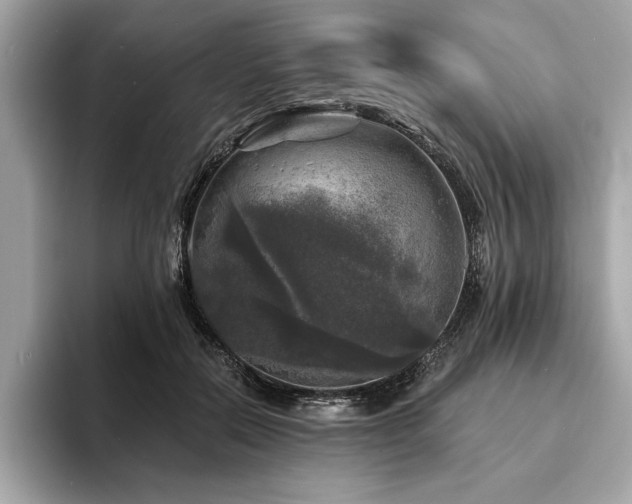 X0000093740554200710161141