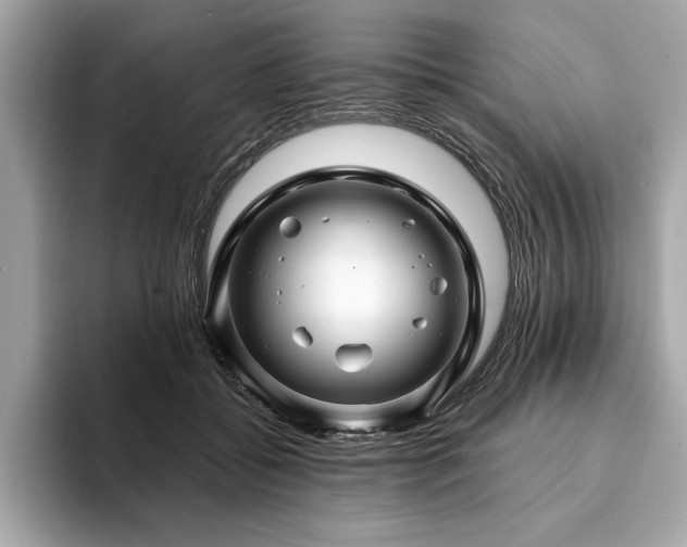 X0000093740556200710161141
