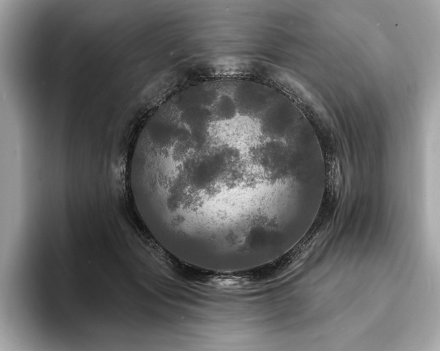 X0000093740557200710161141
