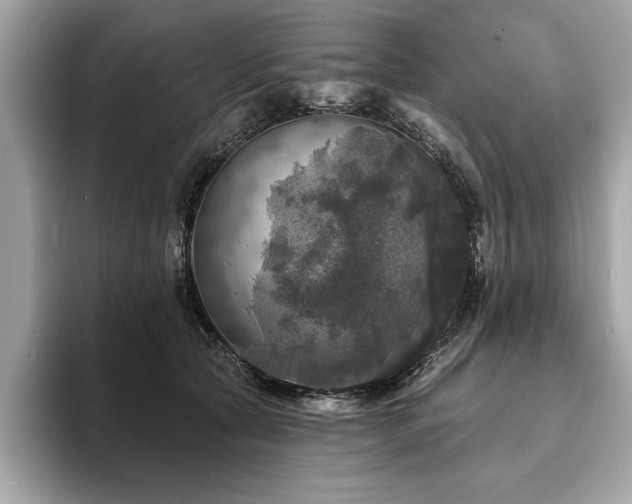 X0000093740561200710161141