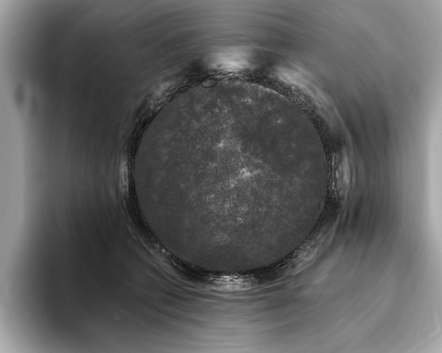 X0000093740562200710161141