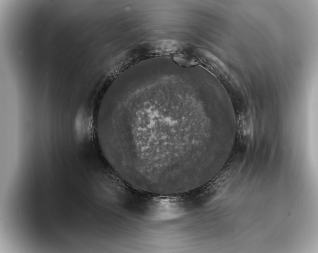 X0000093740564200710161141