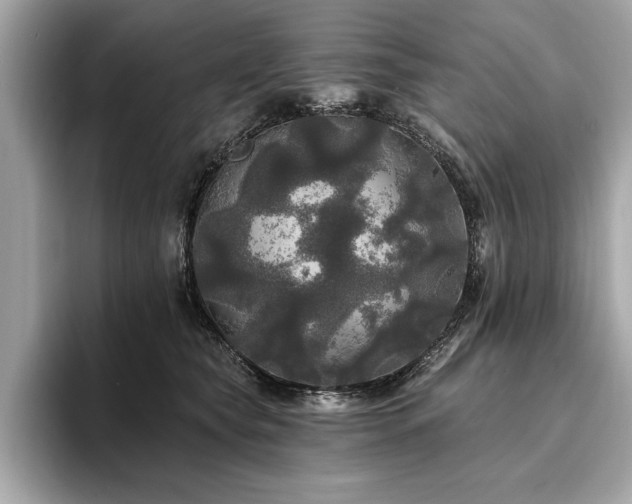 X0000093740565200710161141
