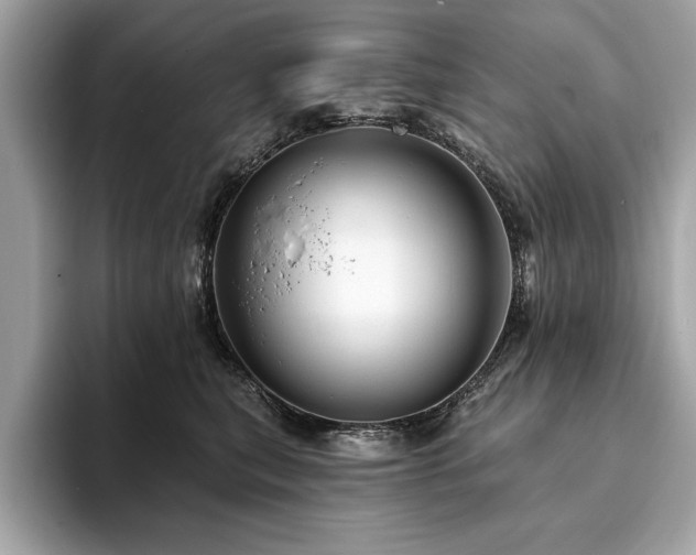 X0000093740567200710161141