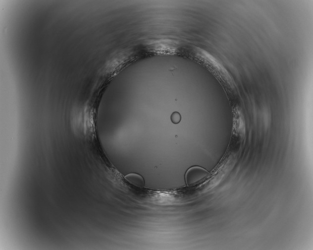 X0000093740573200710161141