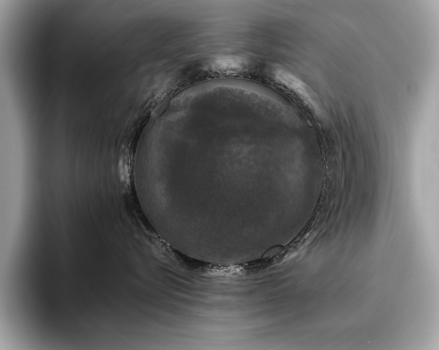 X0000093740576200710161141