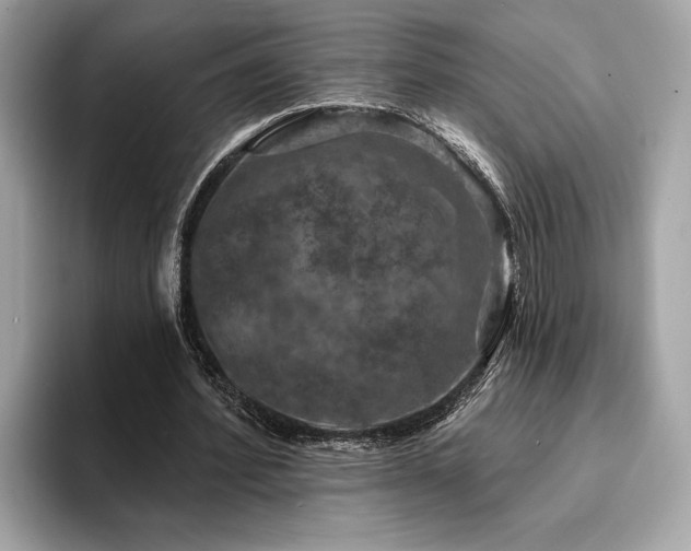 X0000093740580200710161140
