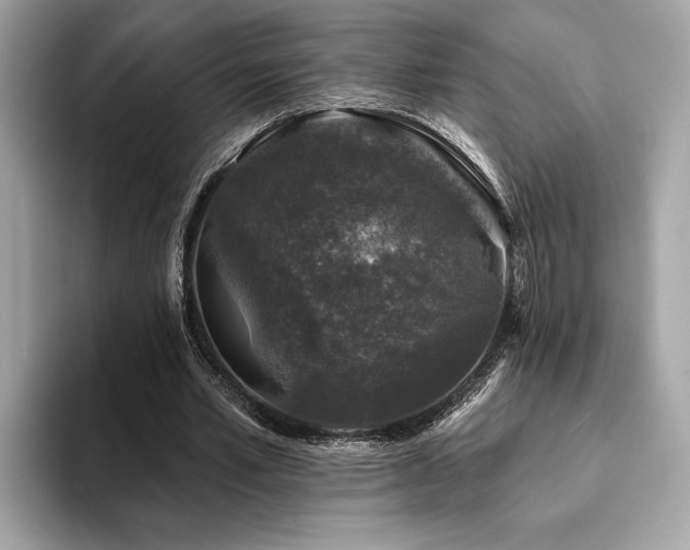 X0000093740581200710161140