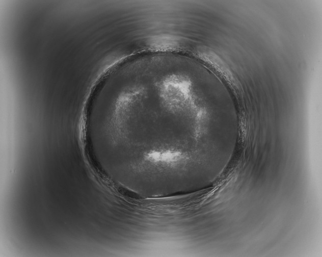 X0000093740583200710161140