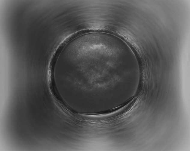X0000093740584200710161140