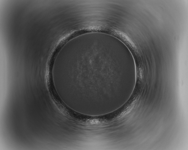 X0000093740588200710161140