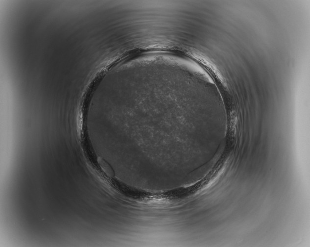 X0000093740589200710161140