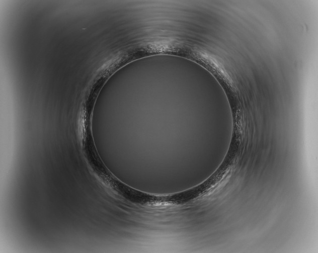 X0000093740590200710161140