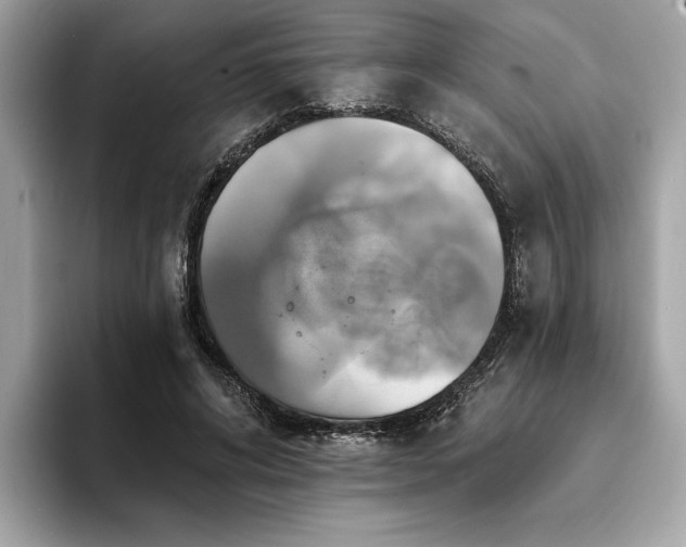 X0000093740592200710161140