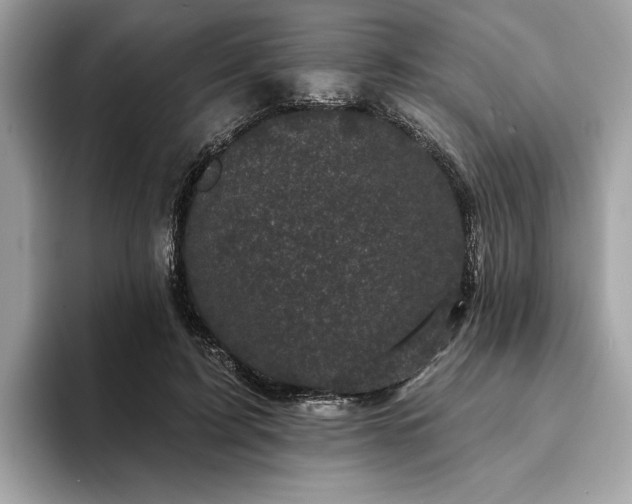 X0000093740595200710161140